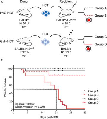 Insufficient Antigen Presentation Due to Viral Immune Evasion Explains Lethal Cytomegalovirus Organ Disease After Allogeneic Hematopoietic Cell Transplantation